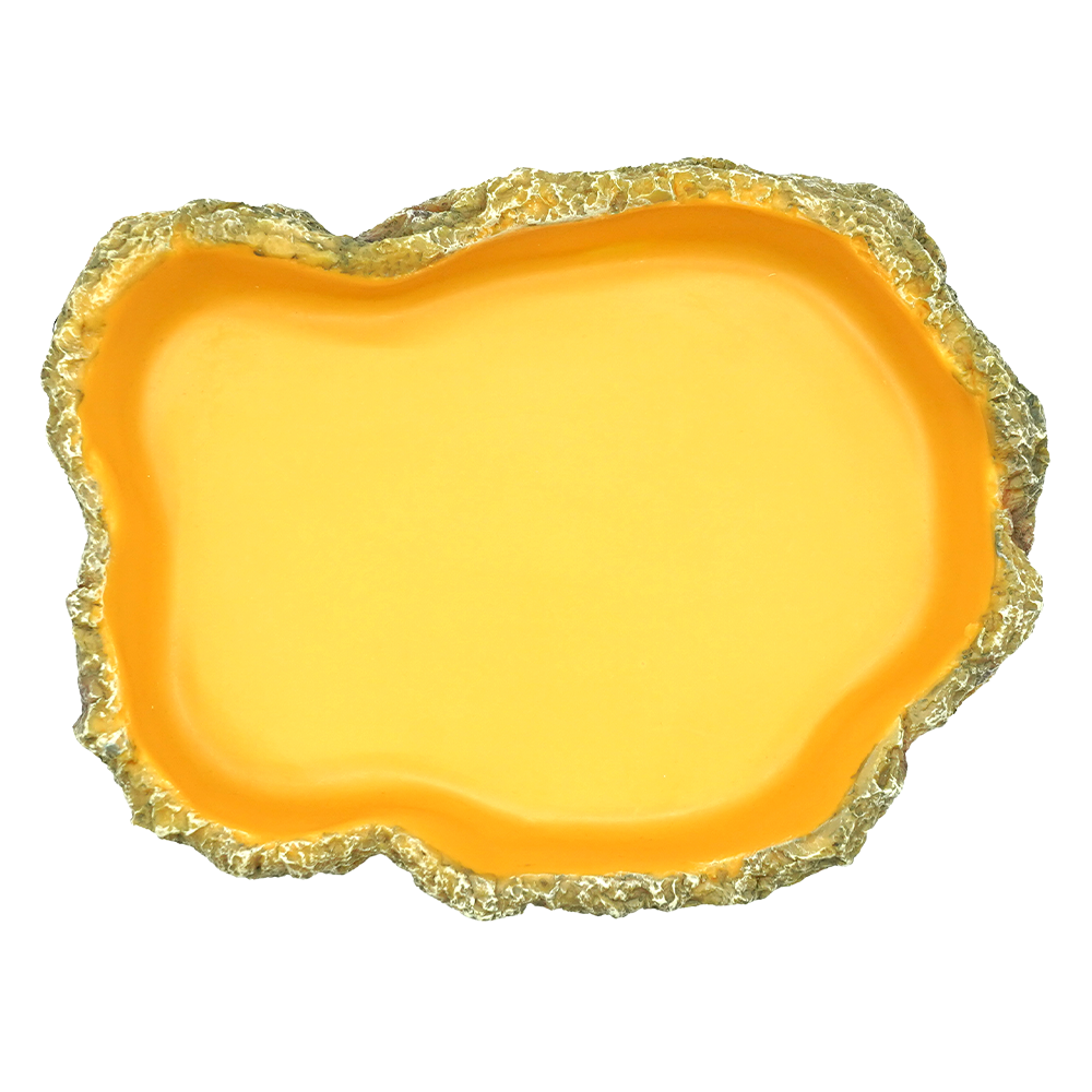 Wacool Reptile Food Dish L