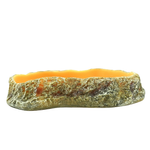 Wacool Reptile Food Dish S