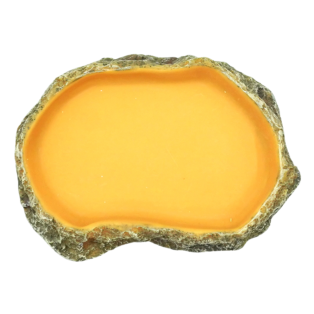 Wacool Reptile Food Dish S