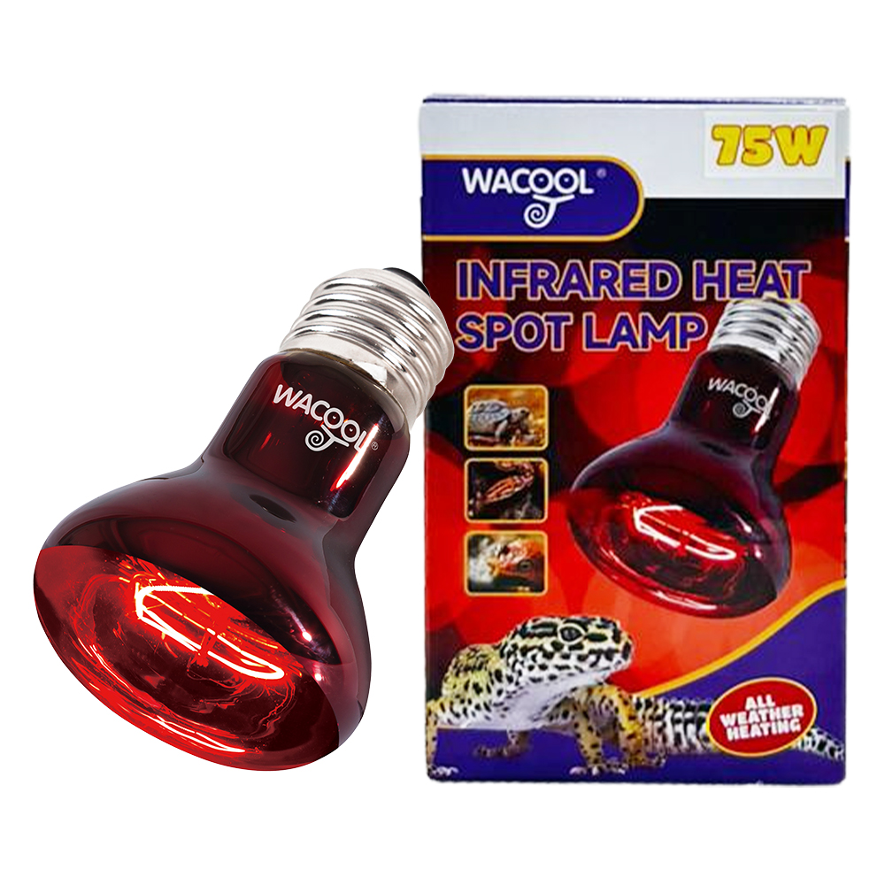Wacool Infrared Heat Spot Lamp75W