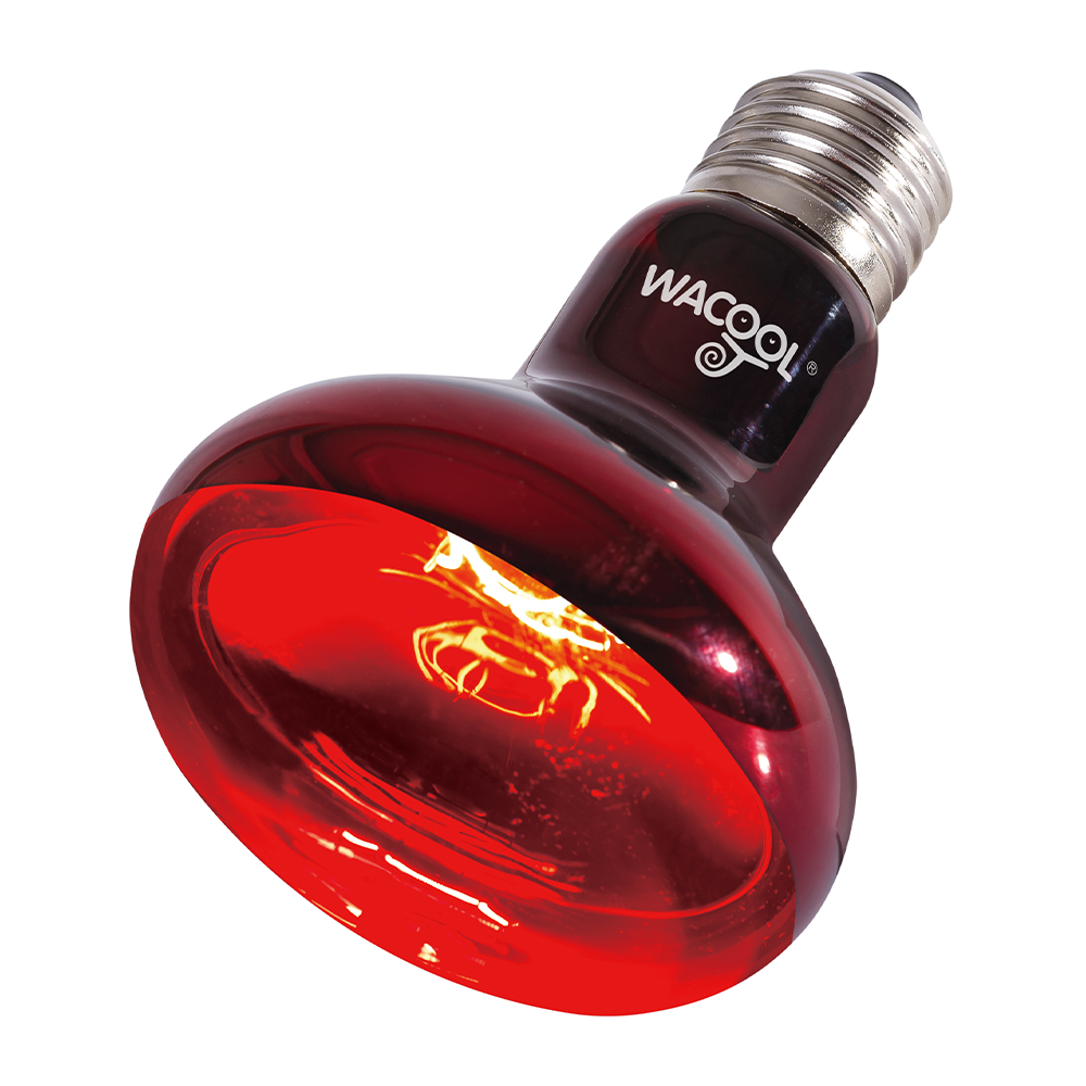 Wacool Infrared Heat Spot Lamp 100W