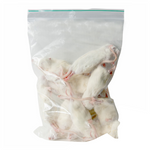 Kiezebrink Large Weaner Rats 60-90g - 5pcs