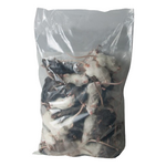 Kiezebrink Large Mice 25-30g - 25pcs