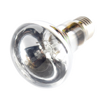 Nomoy Pet Reptile Day Lamp 60W