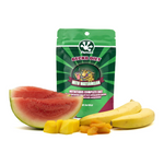 Pangea Gecko Diet with Watermelon