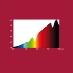 Hobby Sunlight ECO 28W