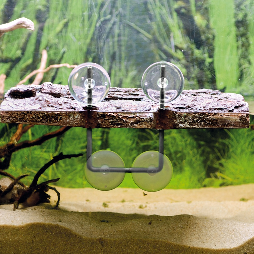 Hobby Turtle Island 2 - Medium